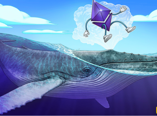 Ethereum Whales Buy $1.6B ETH as Co-Founder Moves $6M