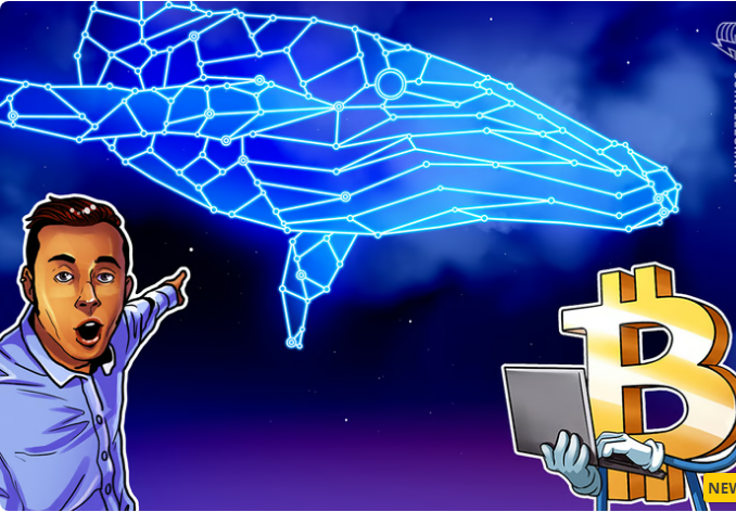 Crypto Whale Who Made $192M Shorting BTC Is Back